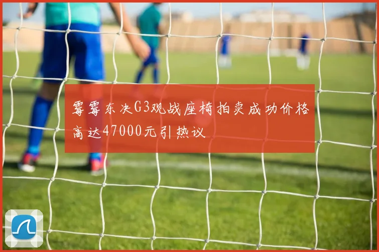 霉霉东决G3观战座椅拍卖成功价格高达47000元引热议