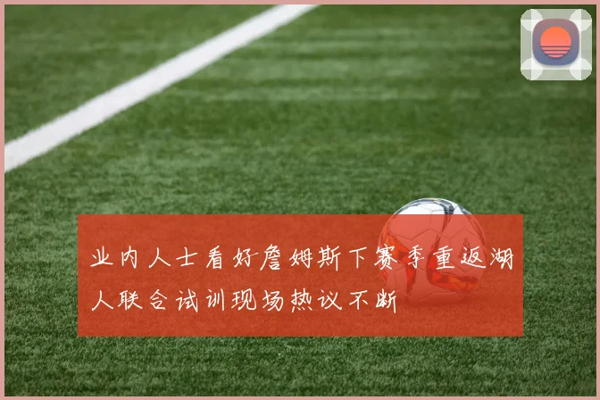 业内人士看好詹姆斯下赛季重返湖人联合试训现场热议不断